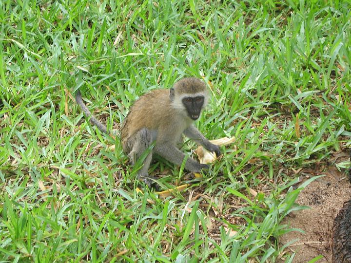 Kenya 127